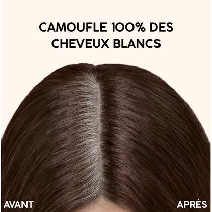 Marron foncé