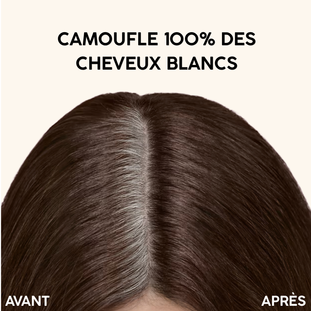 Marron medium