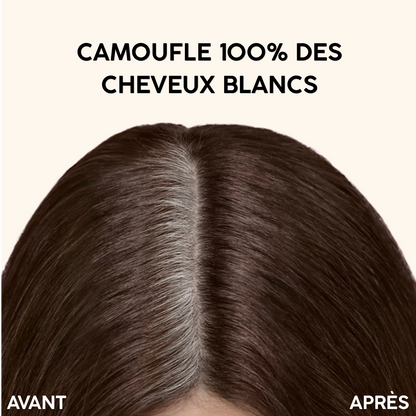 Marron medium