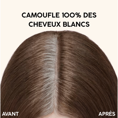Marron clair